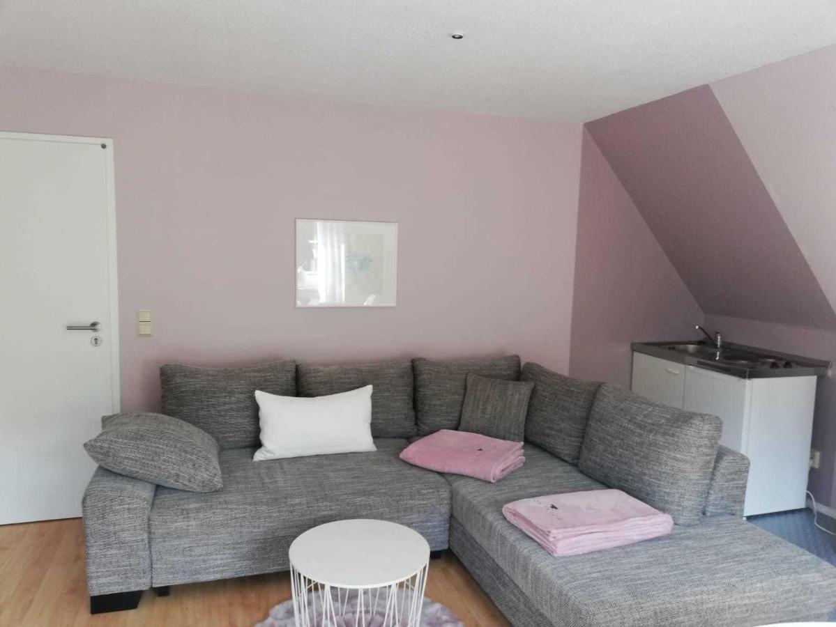 Ferienwohnung Natur Pur Muehlental ヴェルニゲローデ エクステリア 写真