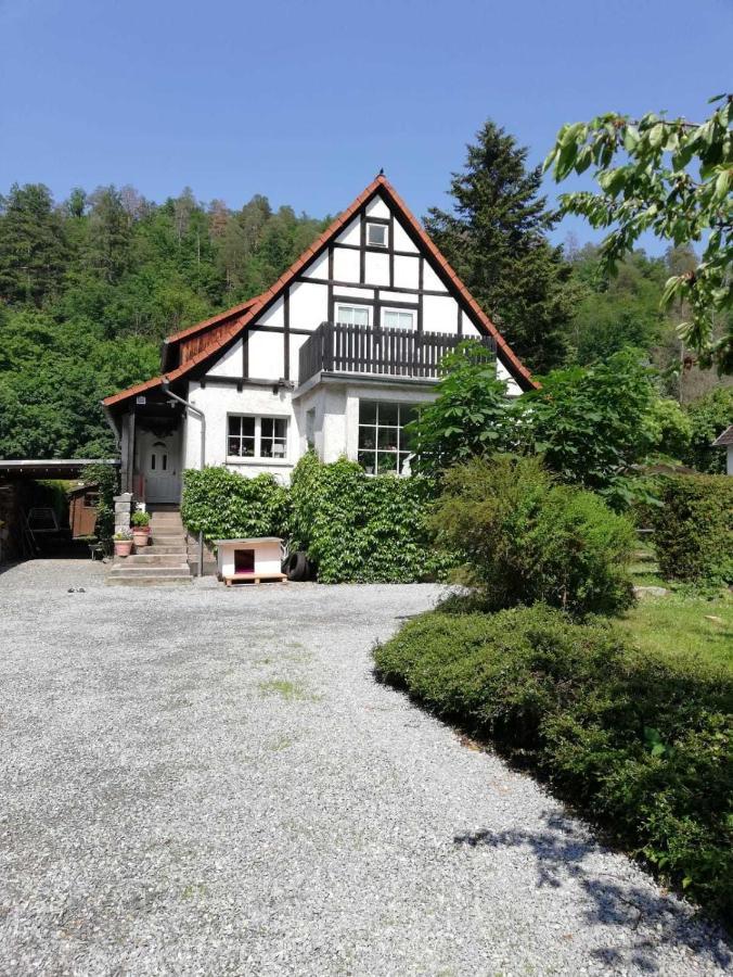 Ferienwohnung Natur Pur Muehlental ヴェルニゲローデ エクステリア 写真