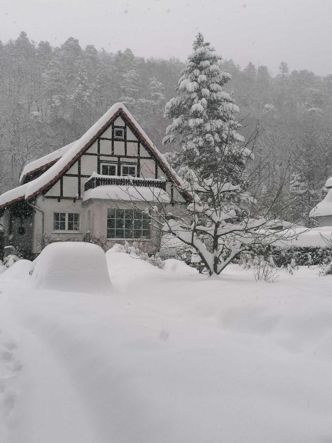 Ferienwohnung Natur Pur Muehlental ヴェルニゲローデ エクステリア 写真