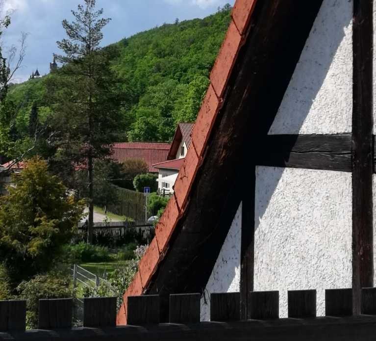 Ferienwohnung Natur Pur Muehlental ヴェルニゲローデ エクステリア 写真